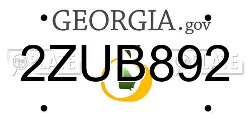2ZUB892 Georgia License Plate