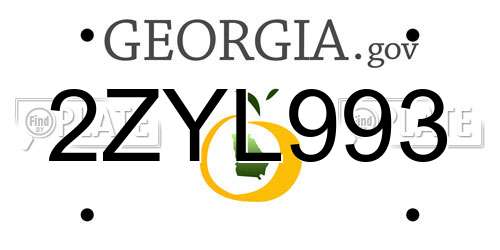 2ZYL993 Georgia License Plate