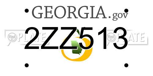 2ZZ513 Georgia License Plate
