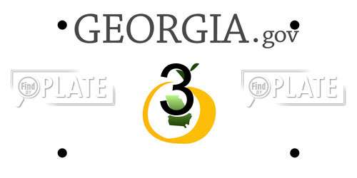 3 Georgia License Plate