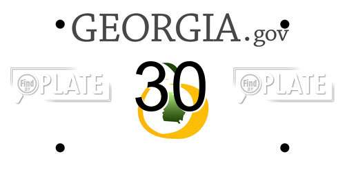 30 Georgia License Plate