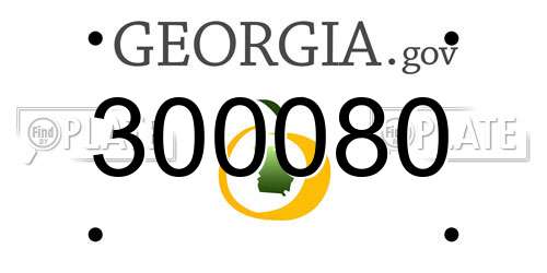 300080 Georgia License Plate
