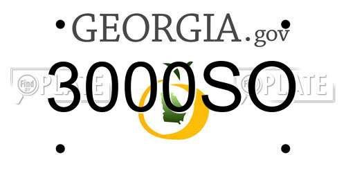 3000SO Georgia License Plate