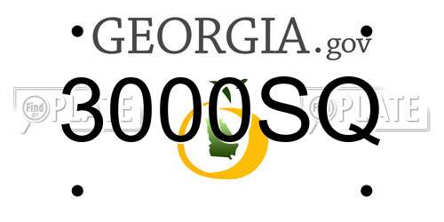 3000SQ Georgia License Plate