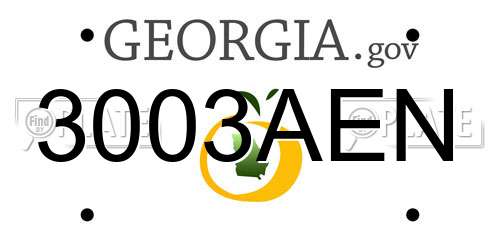 3003AEN Georgia License Plate