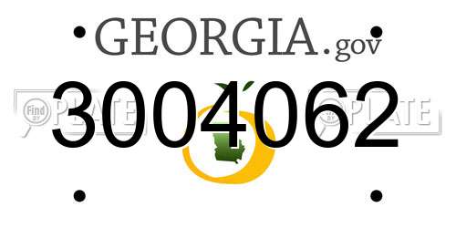3004062 Georgia License Plate