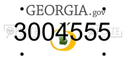 3004555 Georgia License Plate