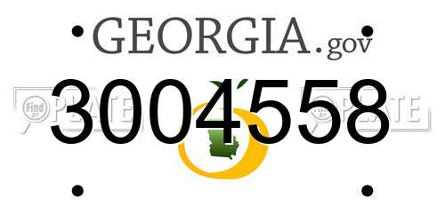 3004558 Georgia License Plate