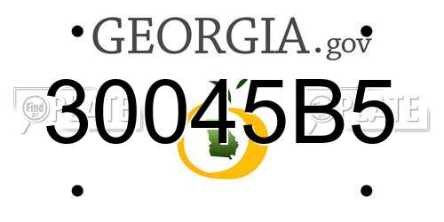 30045B5 Georgia License Plate