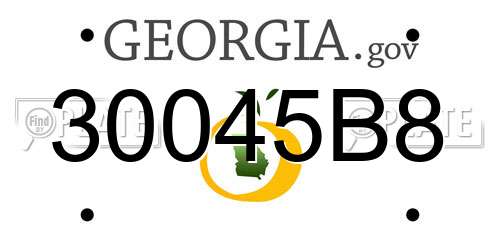 30045B8 Georgia License Plate