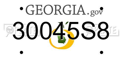 30045S8 Georgia License Plate