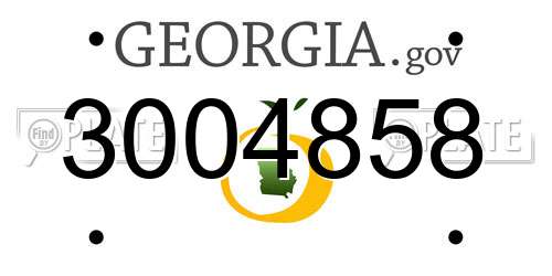 3004858 Georgia License Plate
