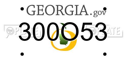 300O53 Georgia License Plate