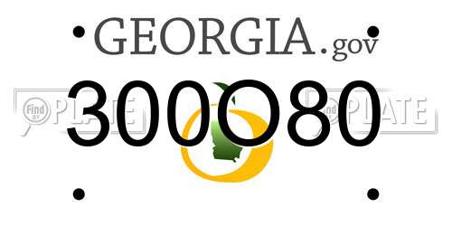 300O80 Georgia License Plate