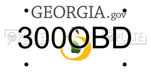 300OBD Georgia License Plate