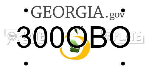 300OBO Georgia License Plate