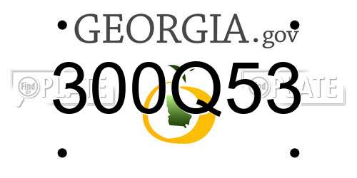 300Q53 Georgia License Plate