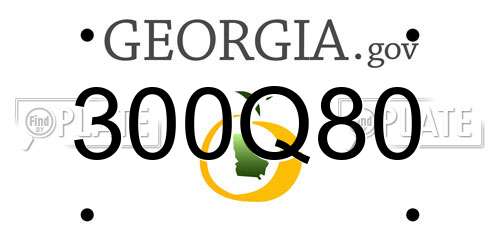 300Q80 Georgia License Plate