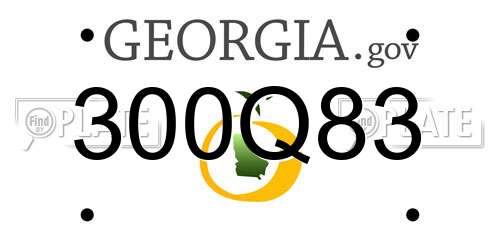 300Q83 Georgia License Plate