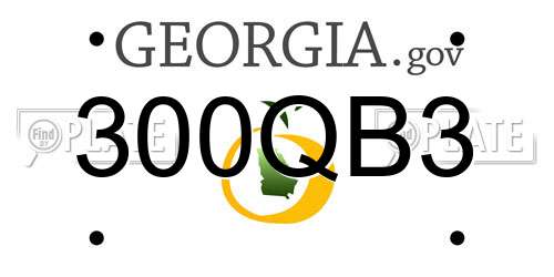 300QB3 Georgia License Plate