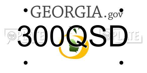 300QSD Georgia License Plate