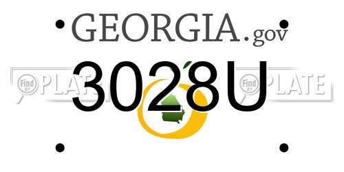 3028U Georgia License Plate
