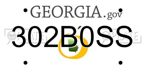 302B0SS Georgia License Plate