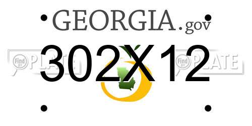 302X12 Georgia License Plate