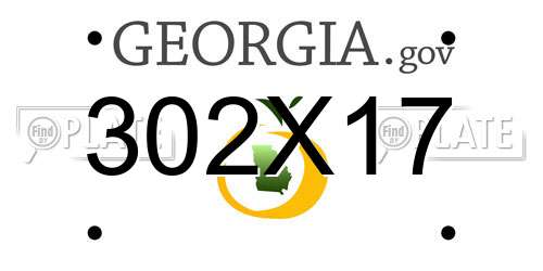 302X17 Georgia License Plate