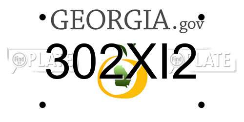 302XI2 Georgia License Plate