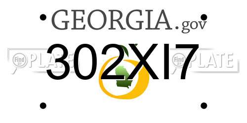 302XI7 Georgia License Plate