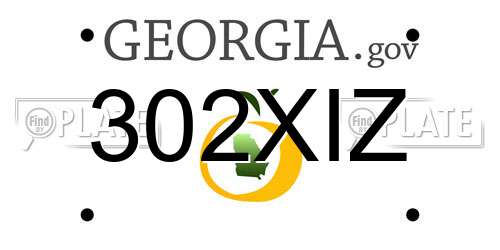 302XIZ Georgia License Plate