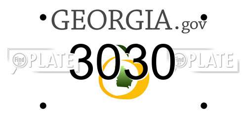 3030 Georgia License Plate