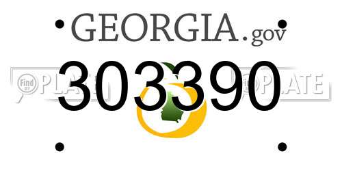 303390 Georgia License Plate