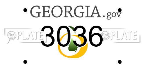 3036 Georgia License Plate