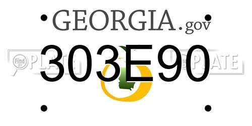 303E90 Georgia License Plate