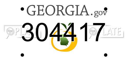 304417 Georgia License Plate