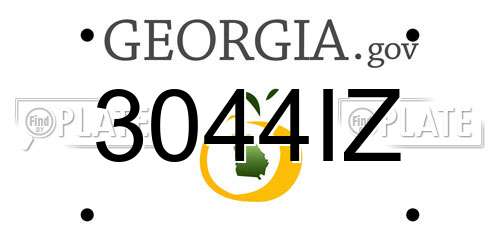 3044IZ Georgia License Plate