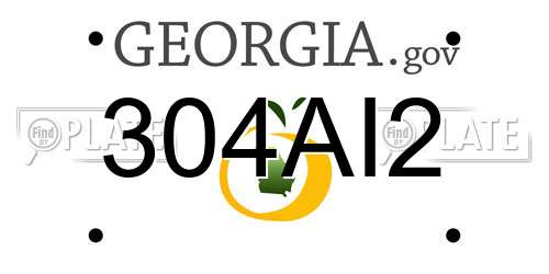 304AI2 Georgia License Plate