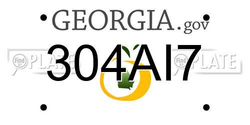 304AI7 Georgia License Plate