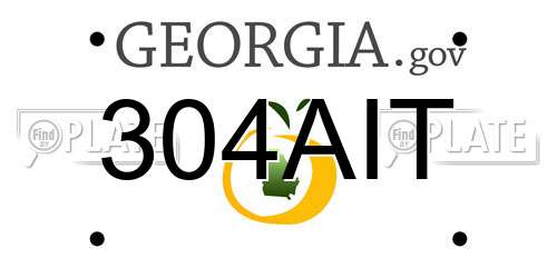 304AIT Georgia License Plate