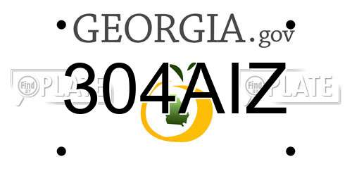 304AIZ Georgia License Plate