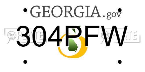304PFW Georgia License Plate