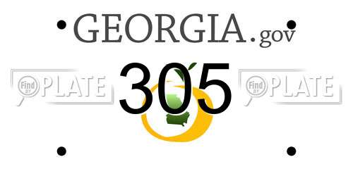 305 Georgia License Plate