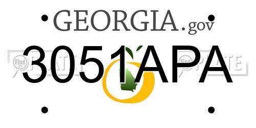 3051APA Georgia License Plate