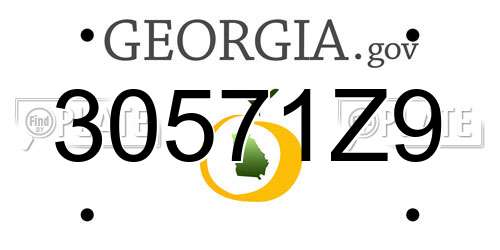 30571Z9 Georgia License Plate