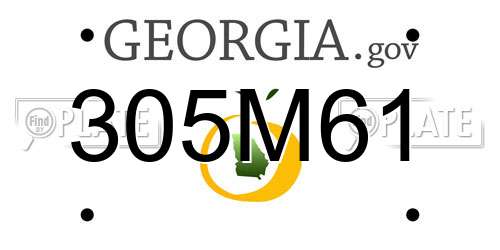 305M61 Georgia License Plate
