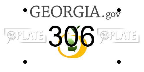 306 Georgia License Plate