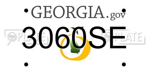 3060SE Georgia License Plate