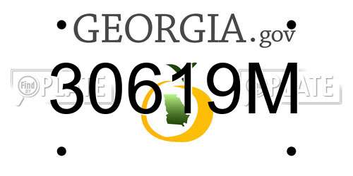 30619M Georgia License Plate